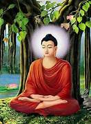 Tortoise သုံးကောင်