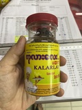 509 KALARLAY ကုလားလေး M