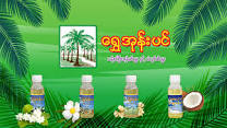 IP 033 SHWE COCONUT OIL ရွှေအုန်းပင်