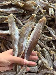 IP010 NGAငါးပုတ်သင် M