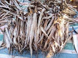 IP010 NGAငါးတံခွန်ခြောက် B