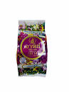 IP033 Arche/အာချီ S