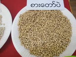 IP020 SATAWPAE စားတော်ပဲ