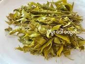 IP003 TAMAR တမာချဥ်