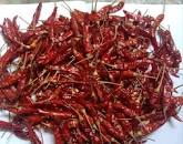 IP002 DRY CHILI ငြုပ်သီးခြောက်ထုပ်