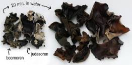 IP004 DRY FUNGUS မှိုခြောက်