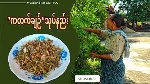 IP003 GADAD ကဒက်ချဥ်