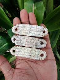 IP025 LAUKလောက်စာအိမ်