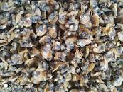 IP001 DRY SNAIL ခရုခြောက်