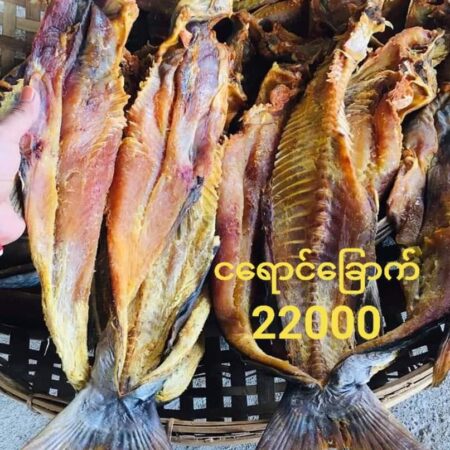 IP010 NGAငါးရောင်