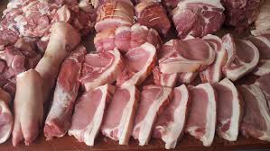 IP 111 PIG