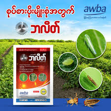 IP SONE XING ပိုးသတ်ဆေး