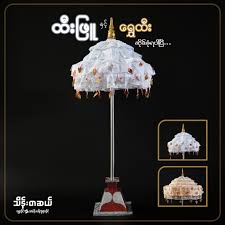 IP ကြောင်လျှာသီး