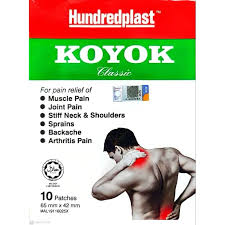 IP KOYOK ကျောကပ်ပလာစတာ