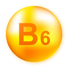 IP B6